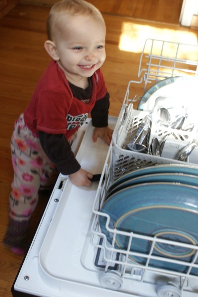 My kitchen helper, who has discovered quite the taste for GF bread. Her main job in the kitchen is putting silverware in the dishwasher, which she will happily do, though usually not until after she's taken everything else out first.