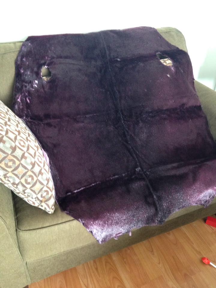 12994293_936894758533_6612990467205113135_n